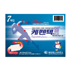 케펜텍엘플라스타